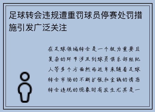 足球转会违规遭重罚球员停赛处罚措施引发广泛关注