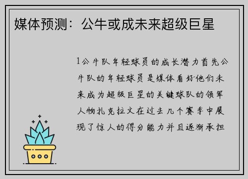 媒体预测：公牛或成未来超级巨星